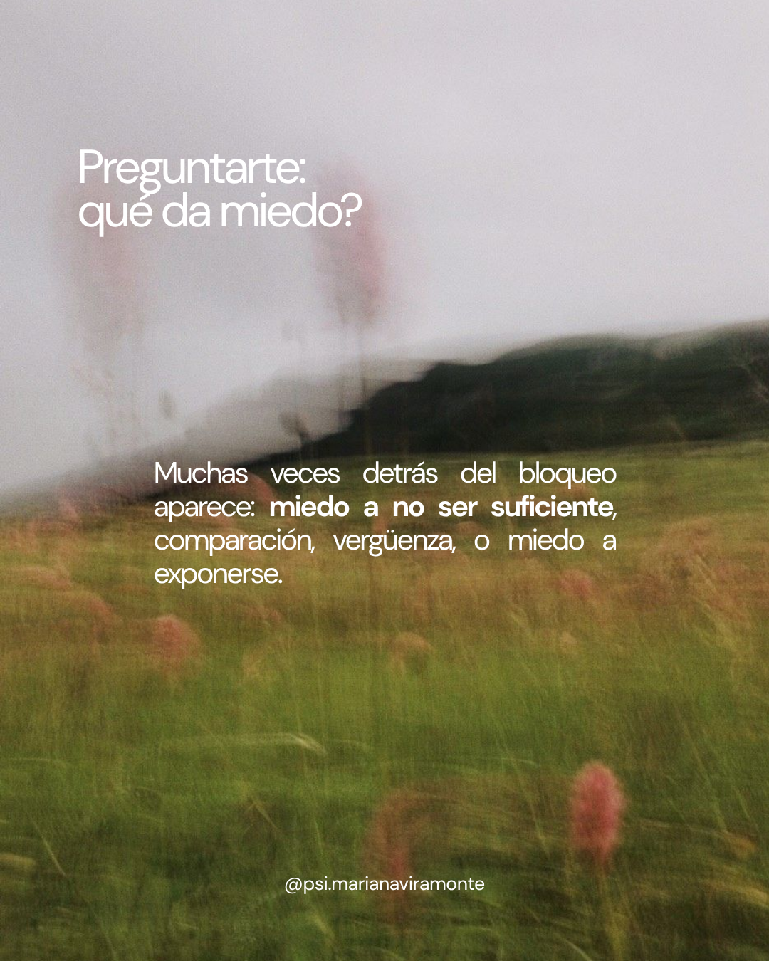 Perfil de psicóloga — slide 5